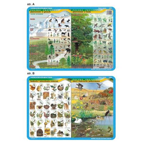 Podkładka edukacyjna Visual System Biologia #2
